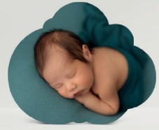 Taco NUBE
